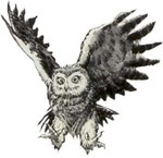 g-owl5.jpg