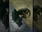 zeldatwilightprincesslinkwolf6.jpg
